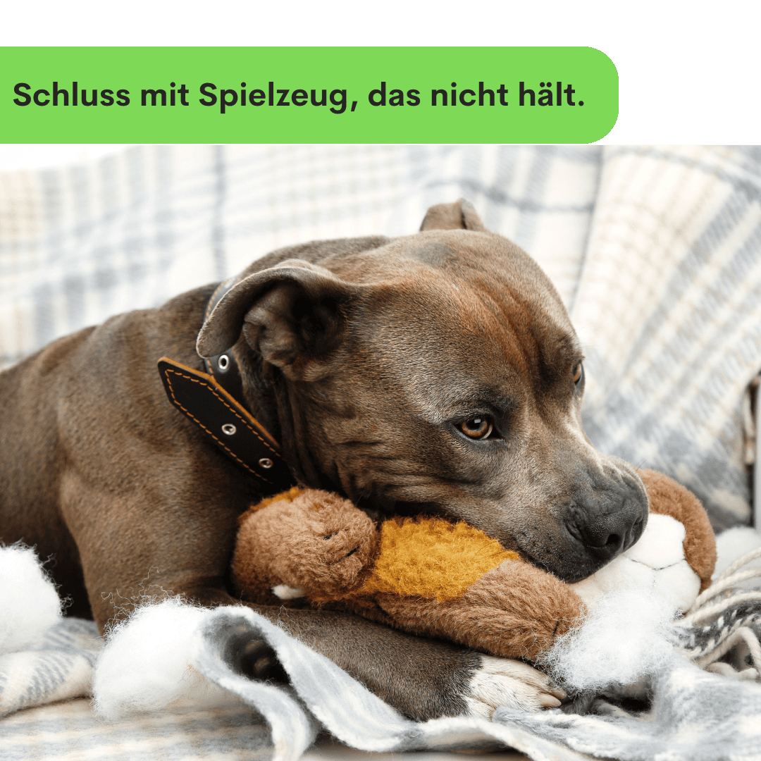 Anti-Schling Puzzle/Original King Louie
