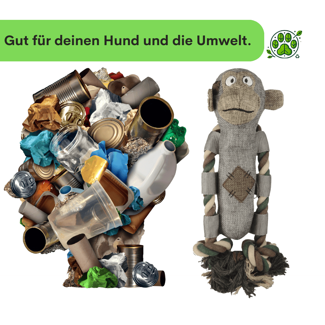 PawGreen Rundum-Glücklich Bundle
