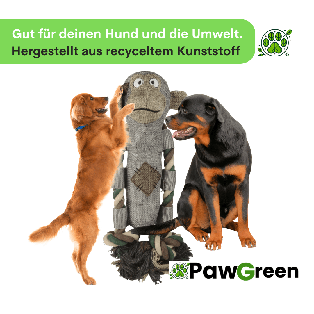 PawGreen Rundum-Glücklich Bundle