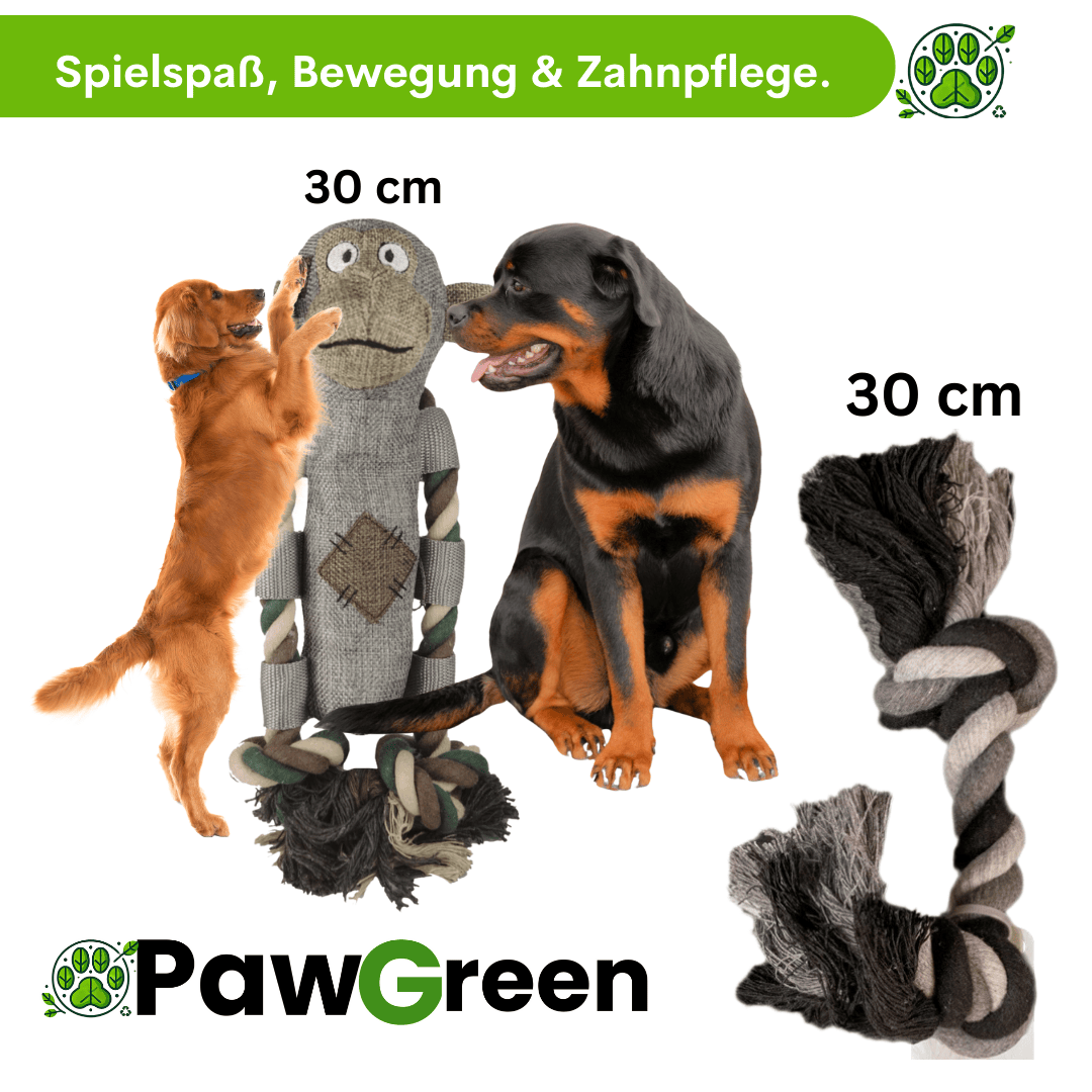 PawGreen Rundum-Glücklich Bundle