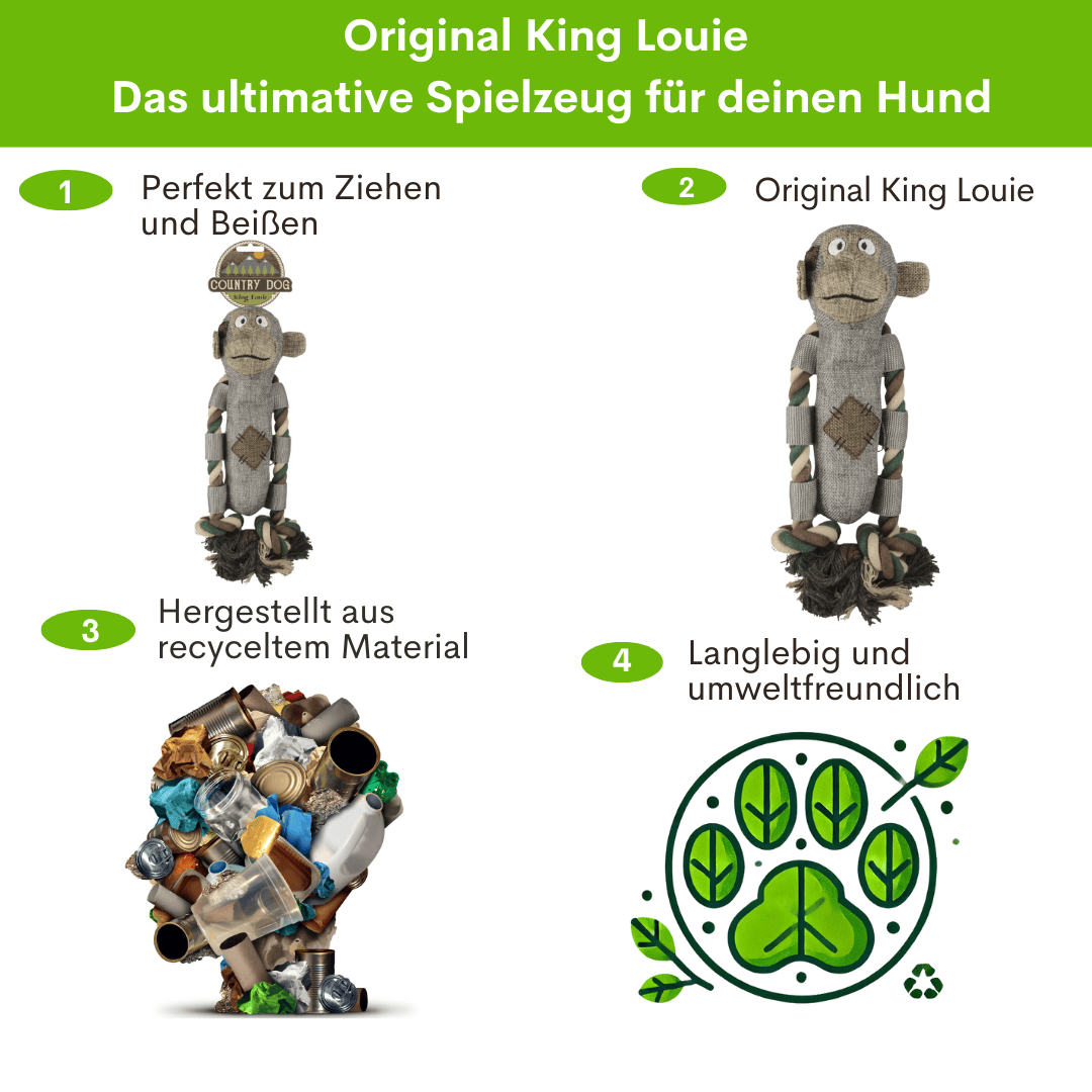 PawGreen Rundum-Glücklich Bundle