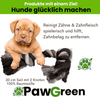 Pawgreen Seil 30 cm  mit 2 Knoten