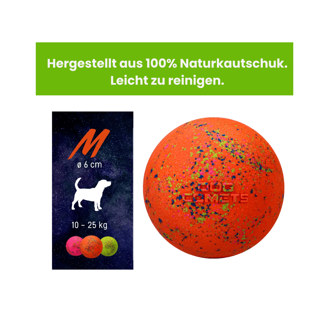 PawGreen Rundum-Glücklich Bundle